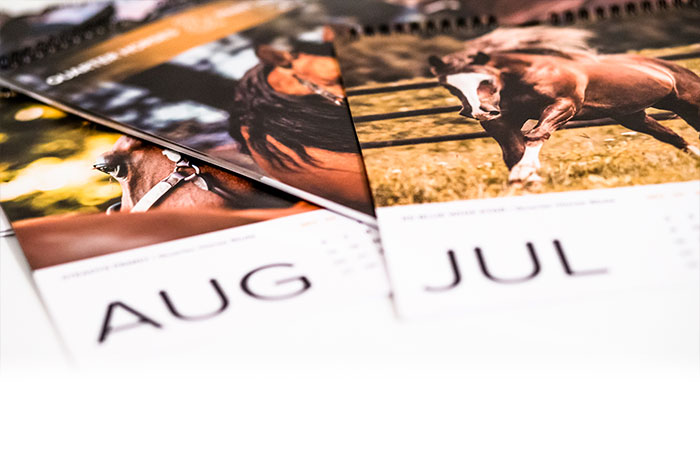 Quarter & Paint Horse Kalender 2018