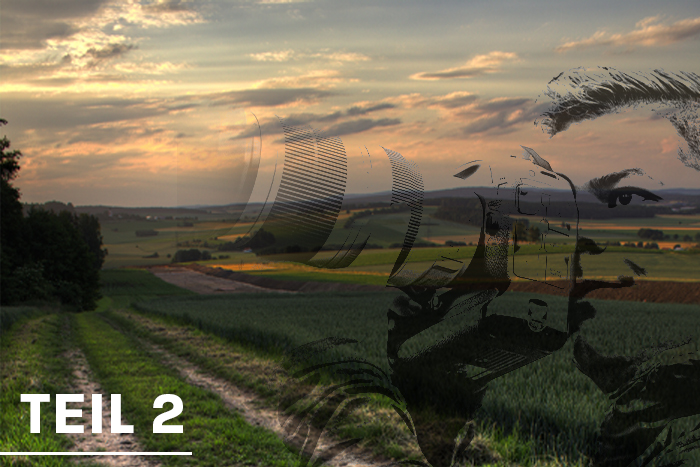 Pferdefotograf werden