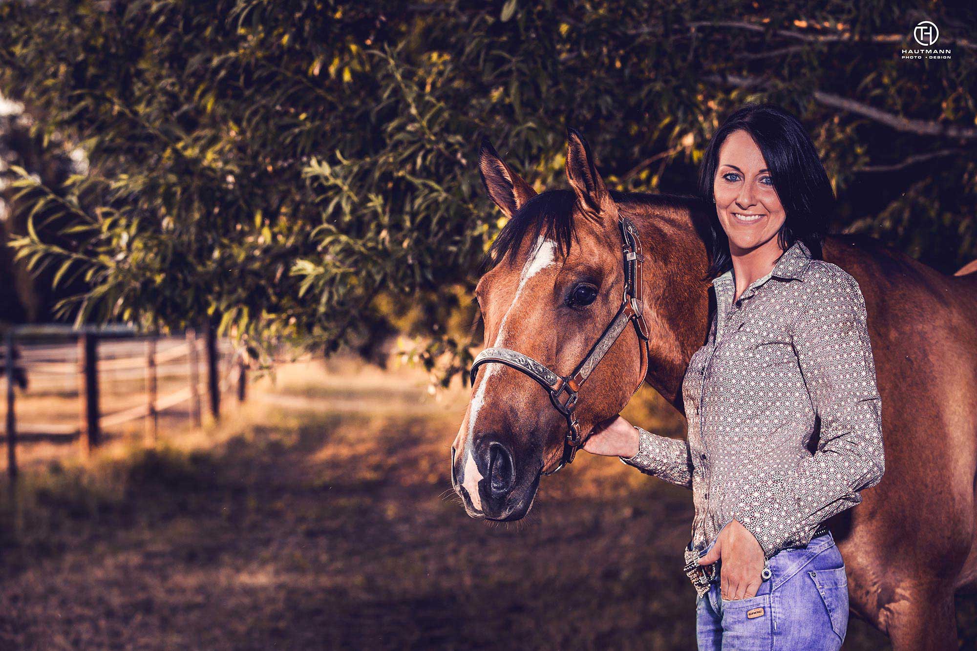 Paint Horse Sonnenuntergang